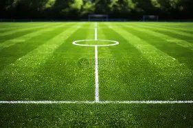 家中为最,费德勒巴塞,尔赛事豪夺,欧博娱乐,欧博娱乐官网,欧博娱乐官网玩家首选