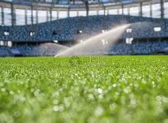 欧博娱乐,资讯,欧博娱乐官网,欧博娱乐,欧博娱乐官网,欧博娱乐官网玩家首选