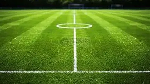 家中为最！费德勒巴塞尔赛事豪夺十冠宝座